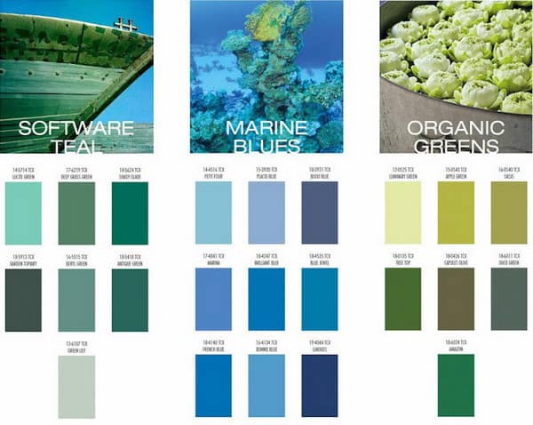 Interior Color Trend 2019