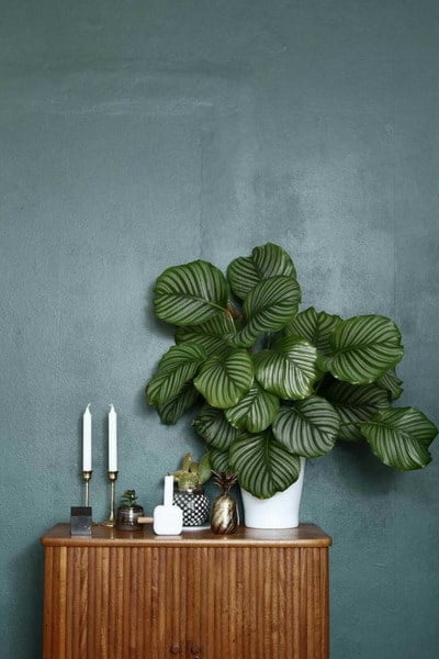 top trends decoration 2020 pinterest