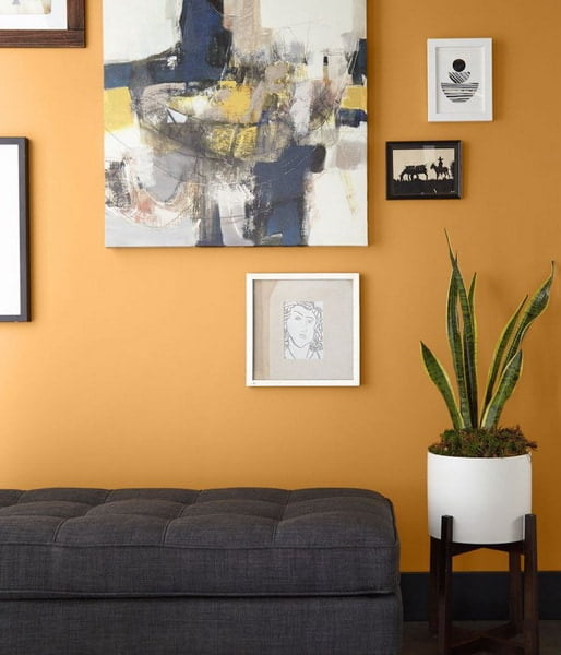 Paint Color Trends 2023