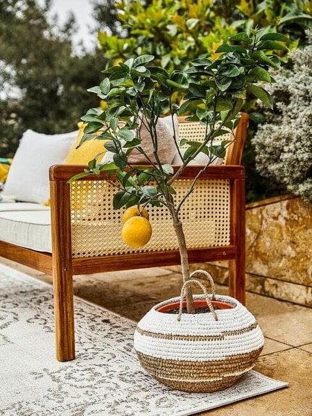 Outdoor Decoration Trends That Will Triumph In 2023