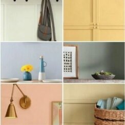 Trends In Interior Wall Colors 2023 0 244x244 