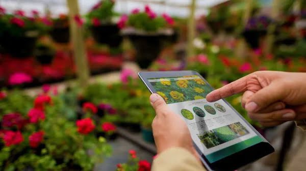 Garden Planner Apps For 2024 2