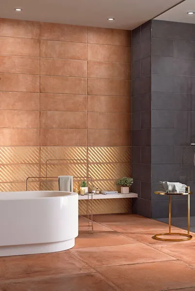 Ceramic Tile Trends 2025