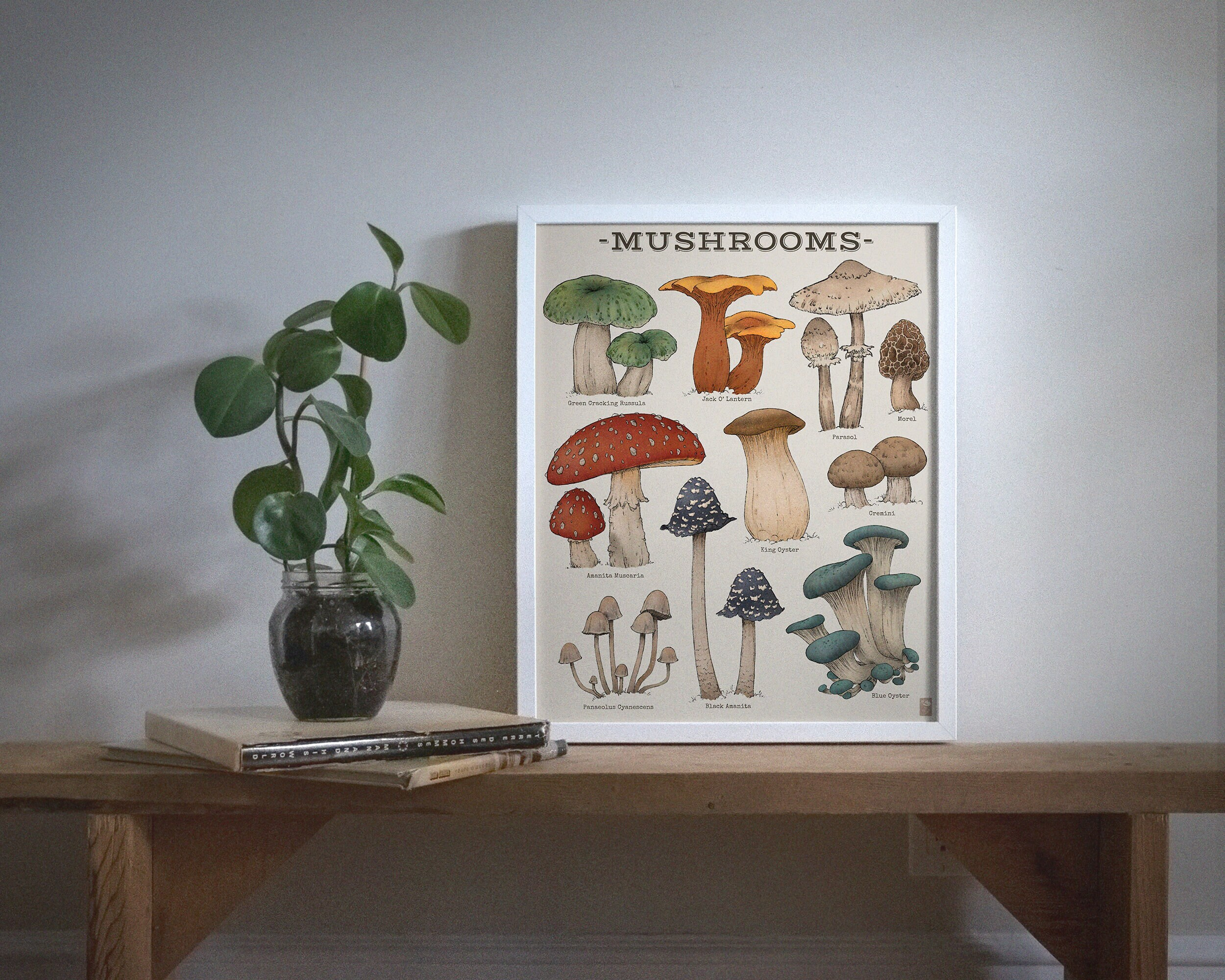 Frame with different types of mushrooms