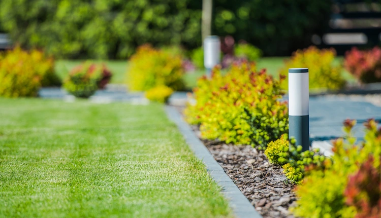 Backyard with lawn and suitable lighting in the flowerbed