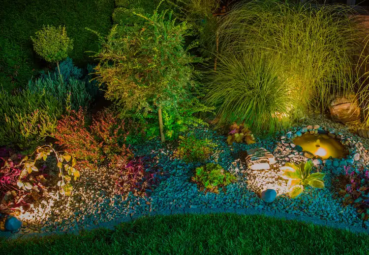 Illuminated garden area with highlighted shadows on trees and ornamental grasses