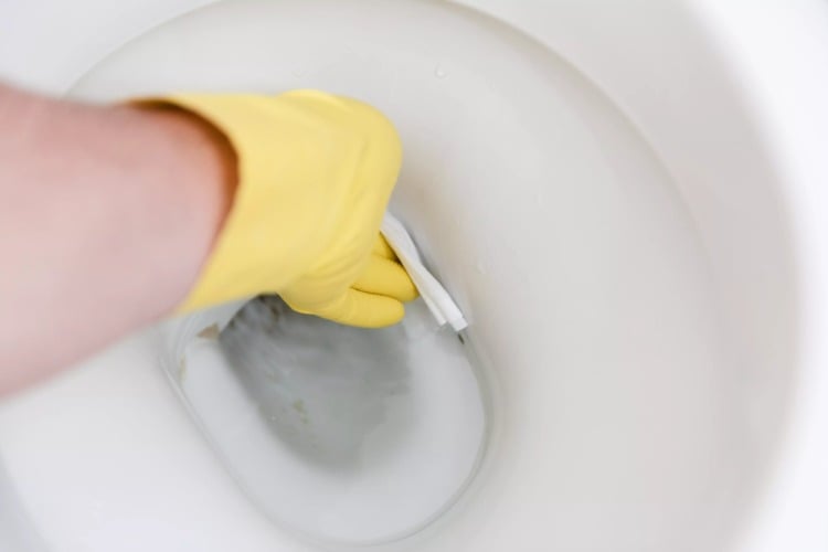 Using rubber gloves and a cloth, wipe off the dirt in the toilet bowl drain hole