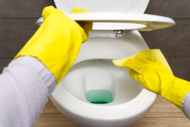 Open the toilet lid and wipe the toilet bowl with a damp cloth