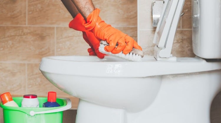 Use a brush with hard bristles and clean the toilet on and under the rim