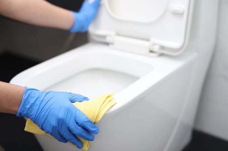 Clean the toilet properly and avoid bacteria such as viruses and germs