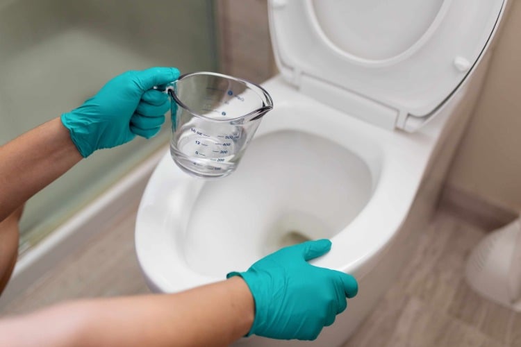 Clean the toilet with a solution of vinegar and pour baking soda into the drain hole