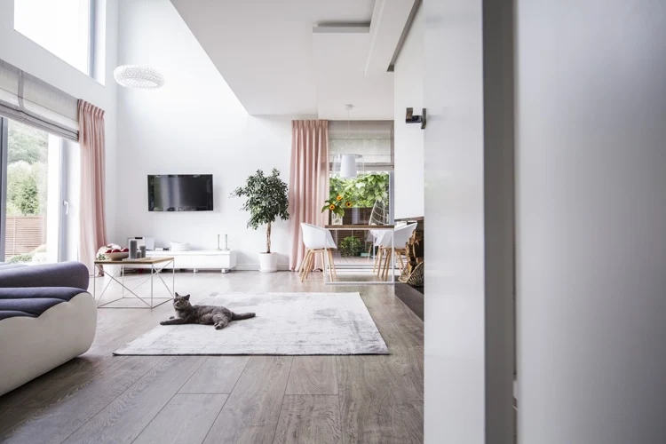 Modern materials for carpets are suitable for pets and allergy sufferers