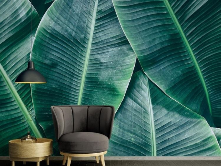 Photo wallpaper banana leaves tropical jungle feeling