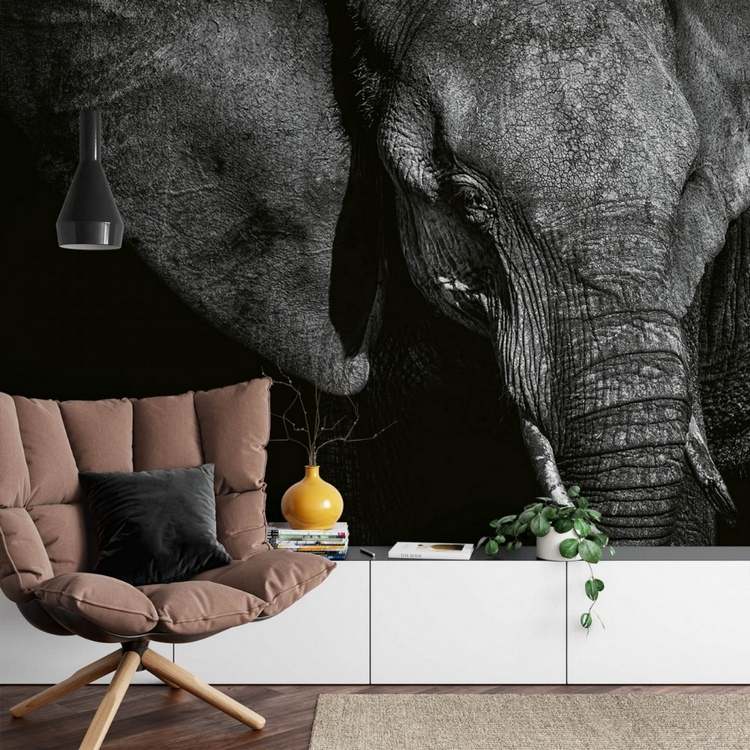 Photo wallpaper black and white elephant for the modern living room