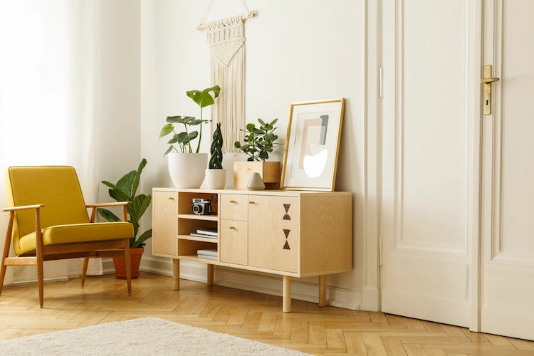 Living room decorated in retro style with minimalist design