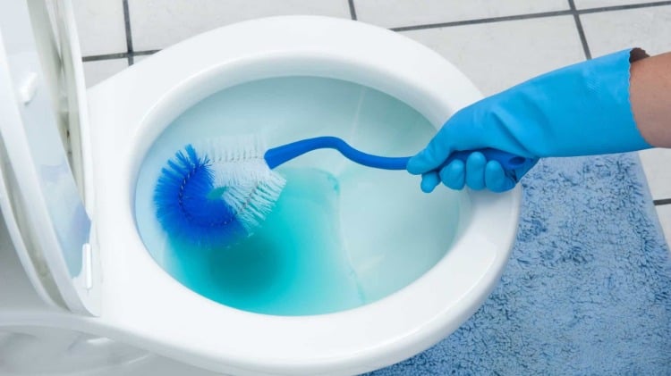 Use a toilet brush with disinfectant or toilet cleaner to prevent the spread of bacteria